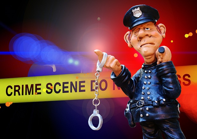 criminal record