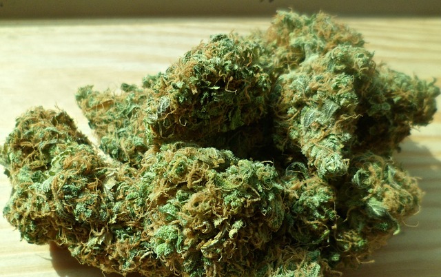 legalised