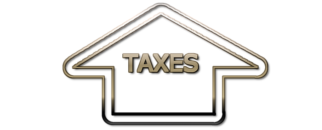 tax return