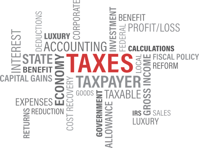tax return