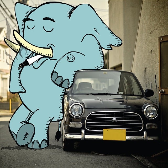 vehicle