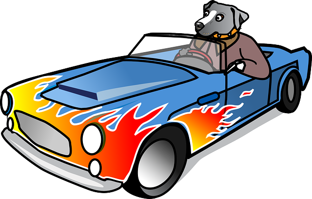 driving license