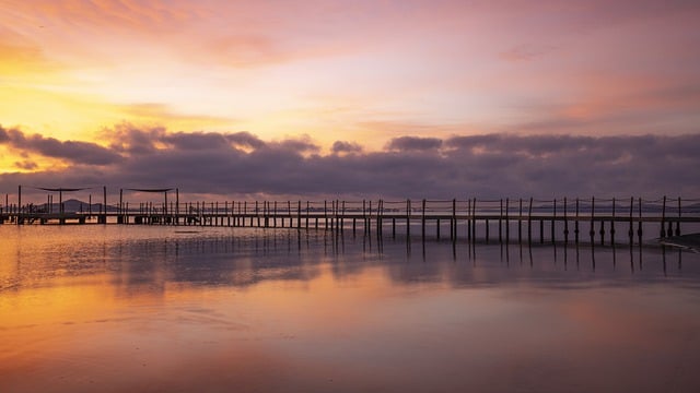 Optimizing Financial Oversight: The Essence of Expert Translation for UK Auditor Reports