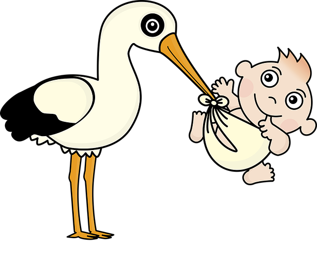 birth