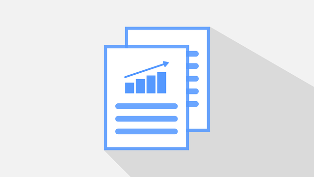 Business Valuation Reports