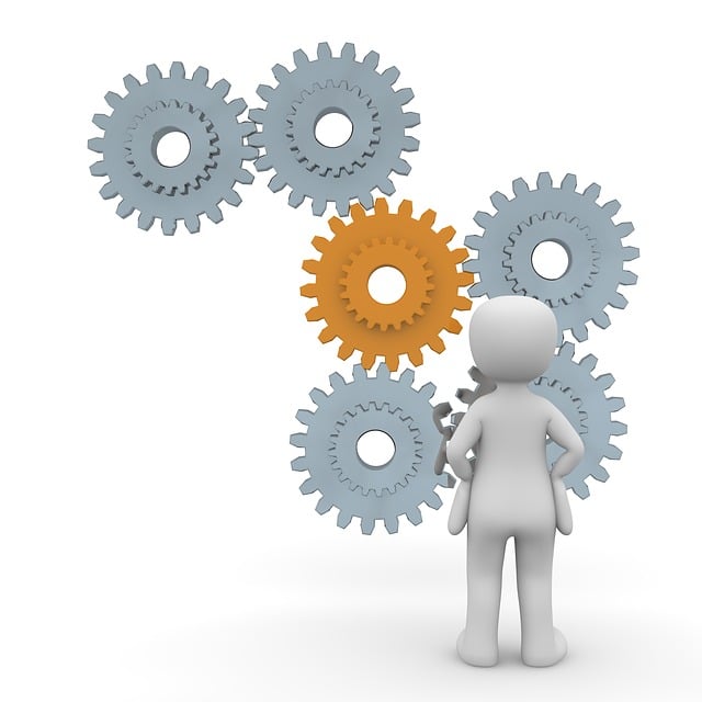 Cash Management and Treasury Reports