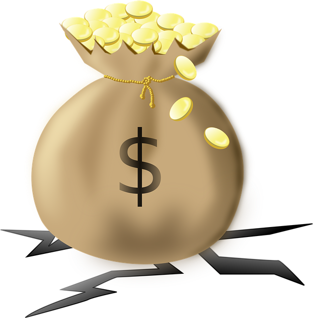 Cash Management and Treasury Reports