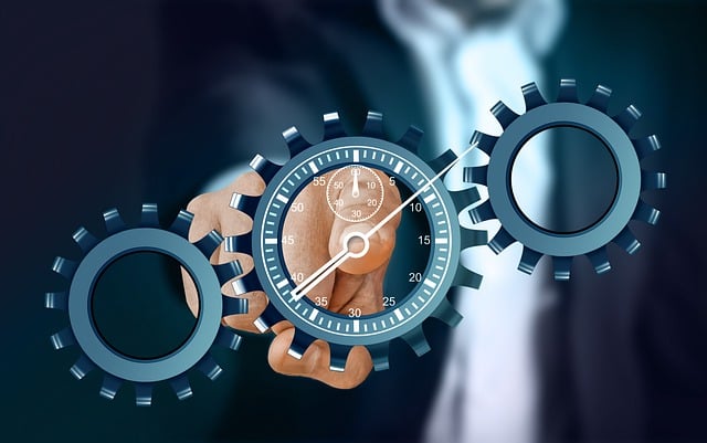 Cash Management and Treasury Reports