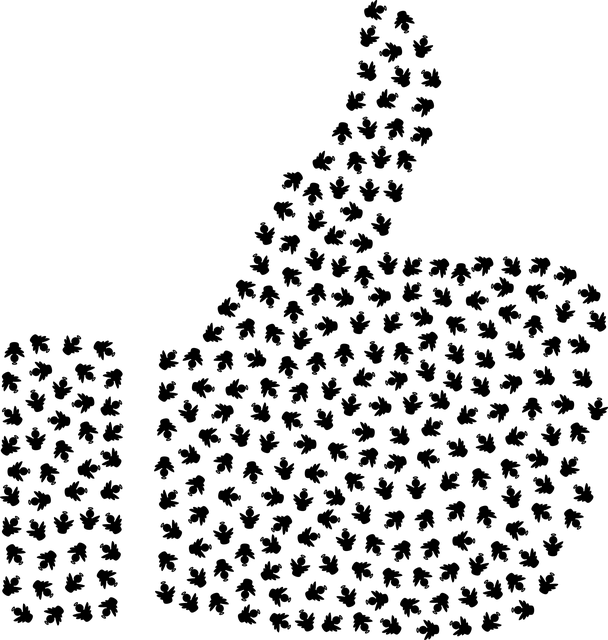 Code of Conduct and Ethics