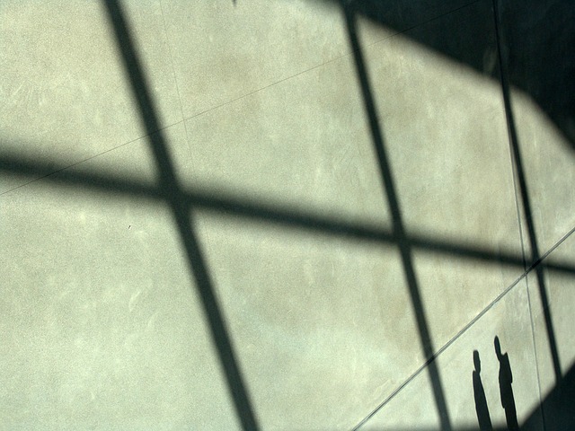 Company Policies and Procedures