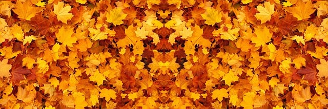 Corporate Bylaws and Articles of Incorporation