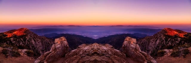 Corporate Bylaws and Articles of Incorporation