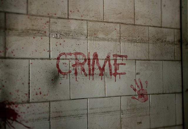 criminal record