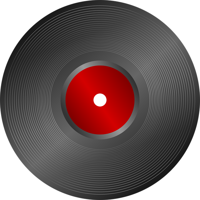 criminal record