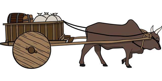 Customs and Trade