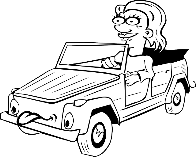 driving license