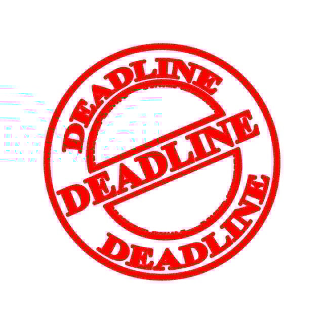 Due Diligence Reports