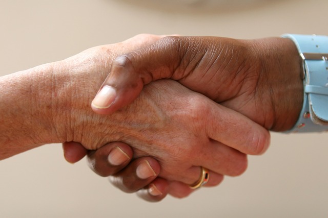 Employment Contract