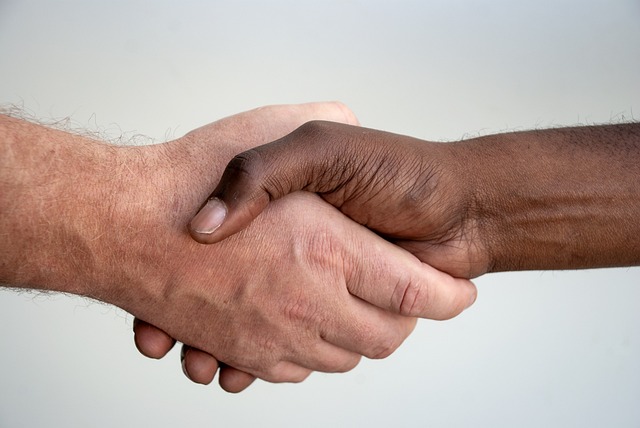 Employment Contract