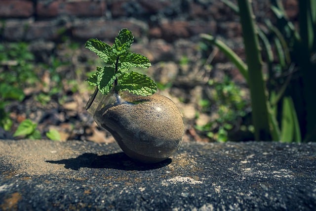 Environmental and Social Responsibility Reports