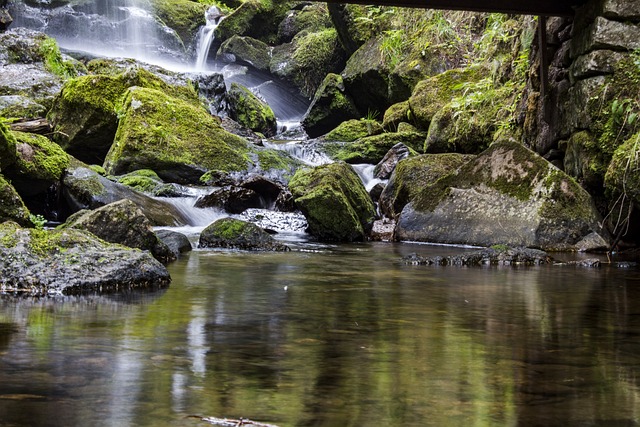 Environmental and Social Responsibility Reports