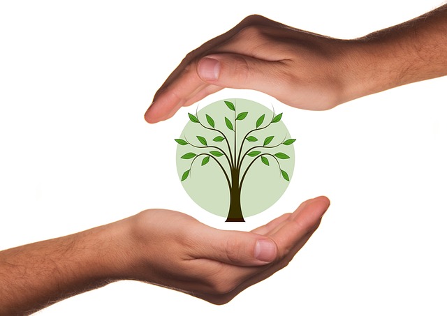 Environmental and Social Responsibility Reports
