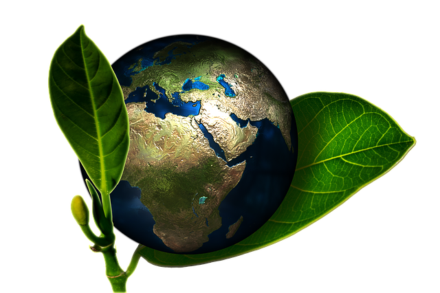 Environmental and Social Responsibility Reports