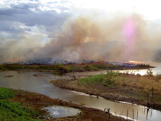 Environmental and Social Responsibility Reports