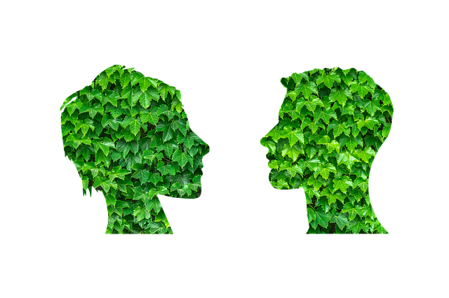 Environmental and Social Responsibility Reports