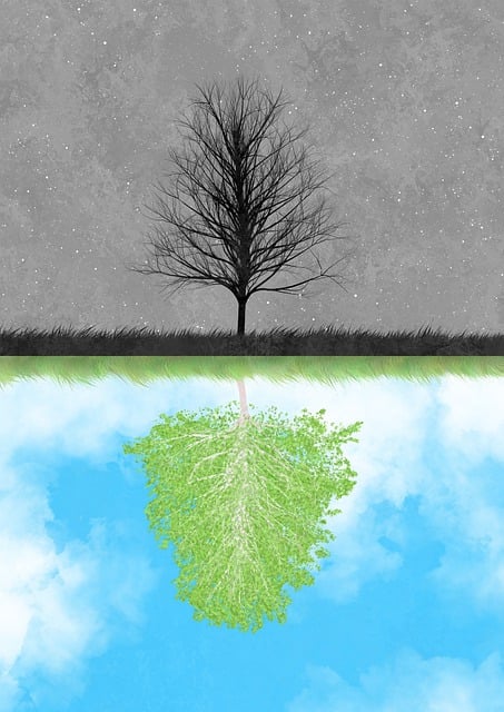 Environmental Compliance Documents