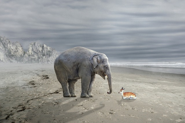 environmental-impact-assessments-640x480-7550468.jpeg