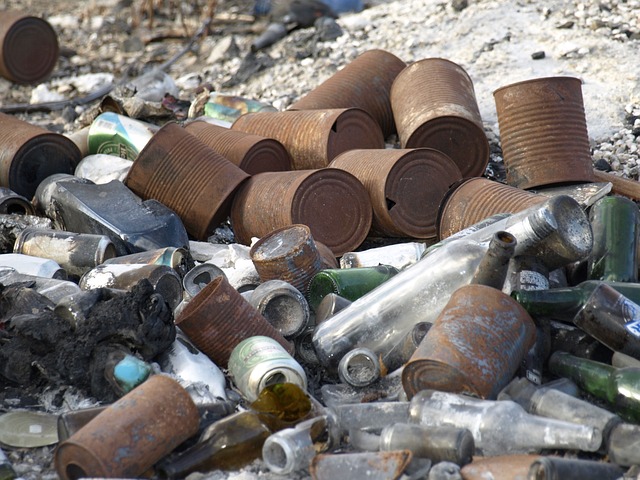 Environmental Impact Assessments