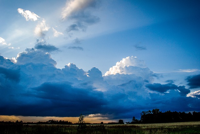 Financial Forecasts and Projections