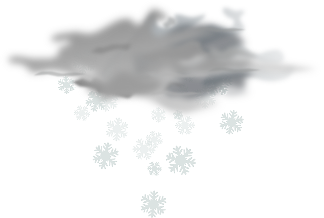 Financial Forecasts and Projections