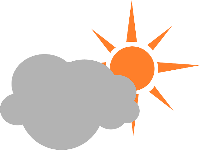 Financial Forecasts and Projections