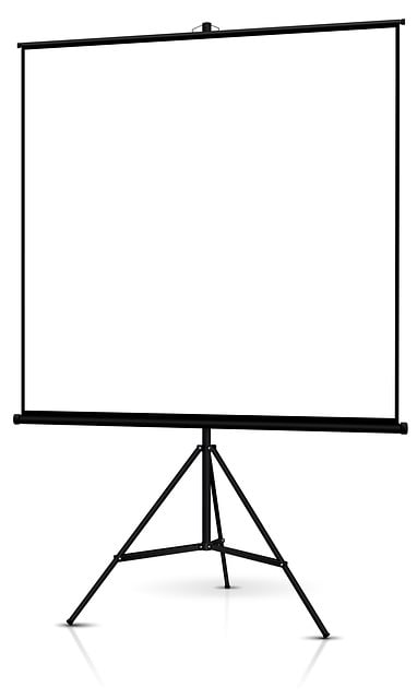 Financial Forecasts and Projections