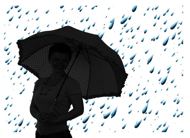 Financial Forecasts and Projections