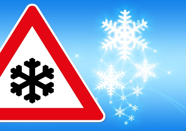 Financial Forecasts and Projections