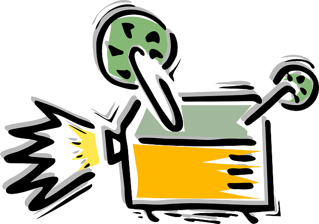 Financial Forecasts and Projections