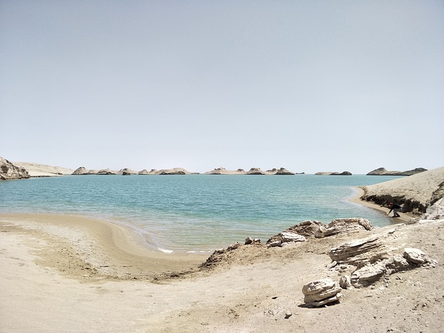 Financial Forecasts and Projections