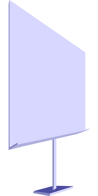 Financial Forecasts and Projections