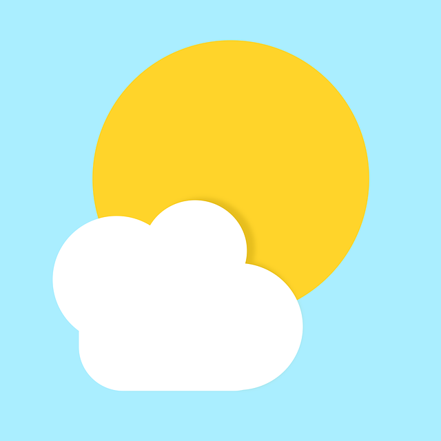 Financial Forecasts and Projections