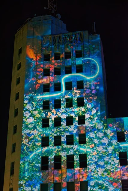 Financial Forecasts and Projections