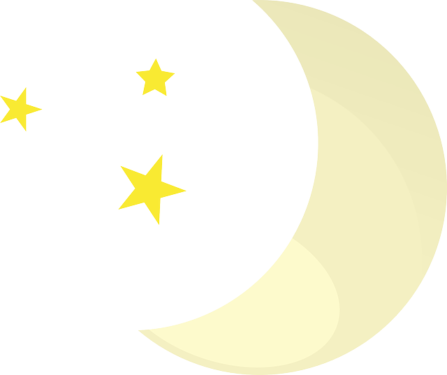 Financial Forecasts and Projections