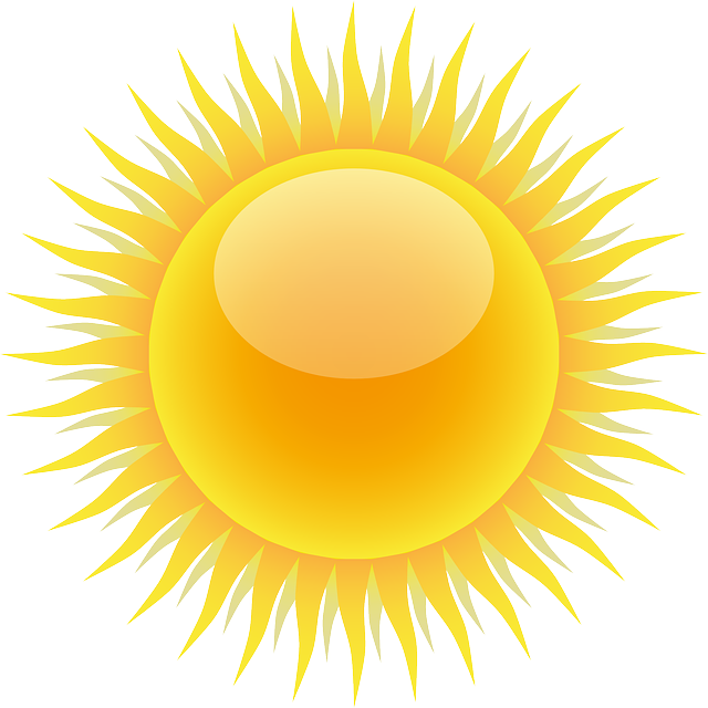 Financial Forecasts and Projections