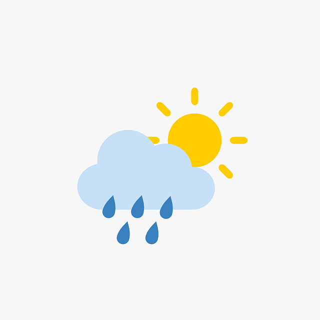 Financial Forecasts and Projections