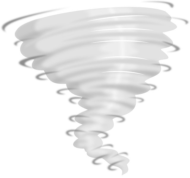 Financial Forecasts and Projections