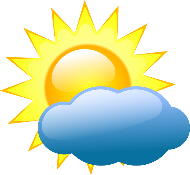 Financial Forecasts and Projections