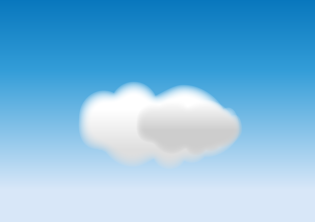 Financial Forecasts and Projections