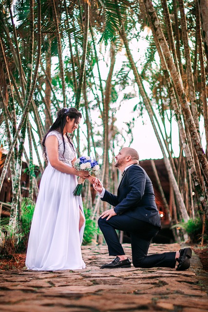 Financial Statements